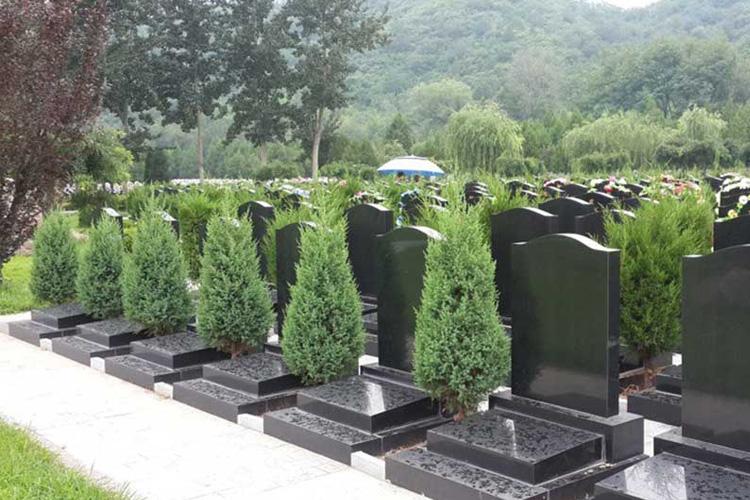 û�н��л���ôȥ��ɥ����أ�