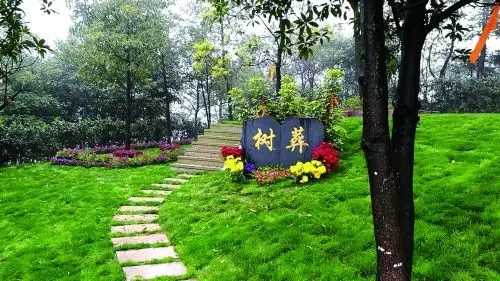 ����ȫ�����ô�Ŷ���Ǯ�������Ժ�ÿ�껹Ҫ������